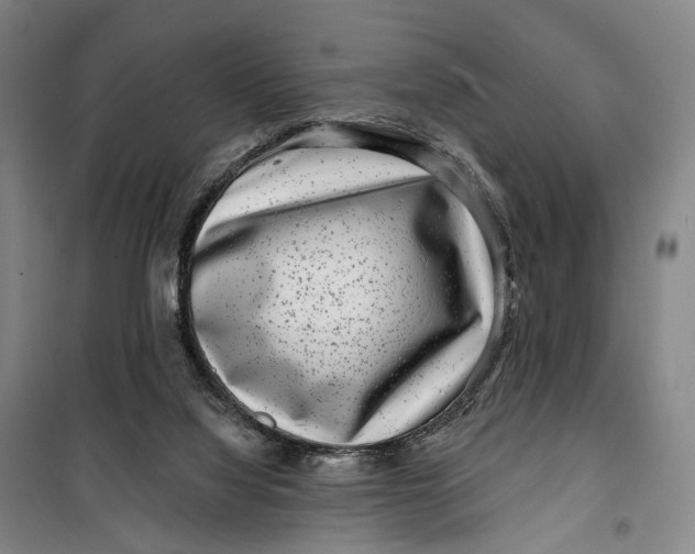 X0000099560068200806061549