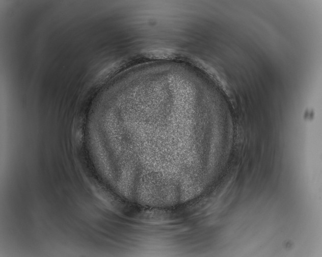 X0000099560069200806061549