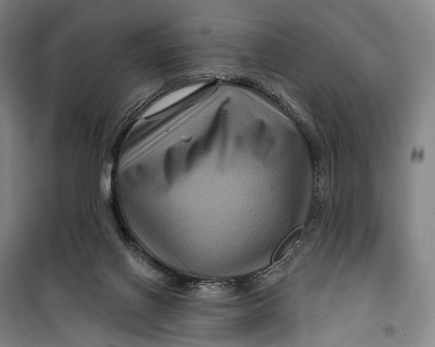 X0000099560070200806061549