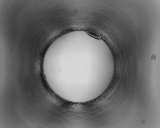 X0000099560071200806061549