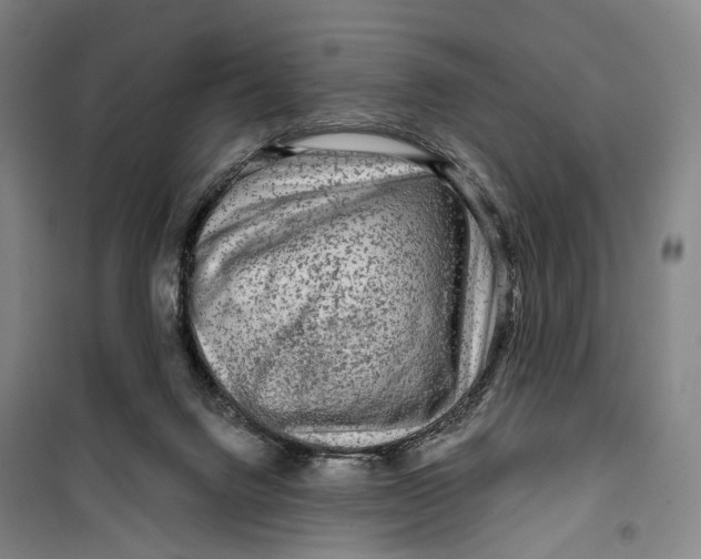 X0000099560072200806061549