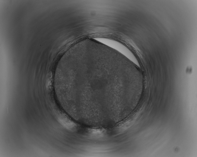 X0000099560073200806061549