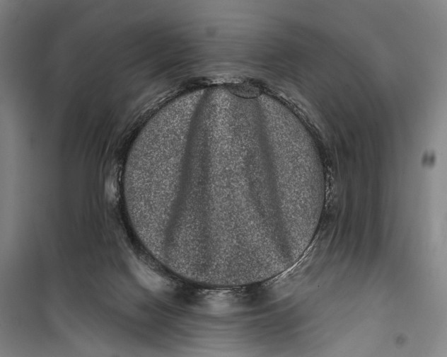 X0000099560074200806061549