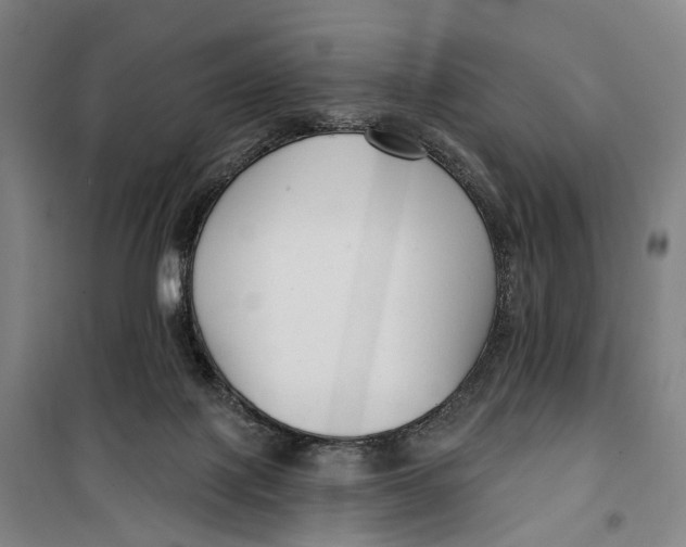 X0000099560075200806061549