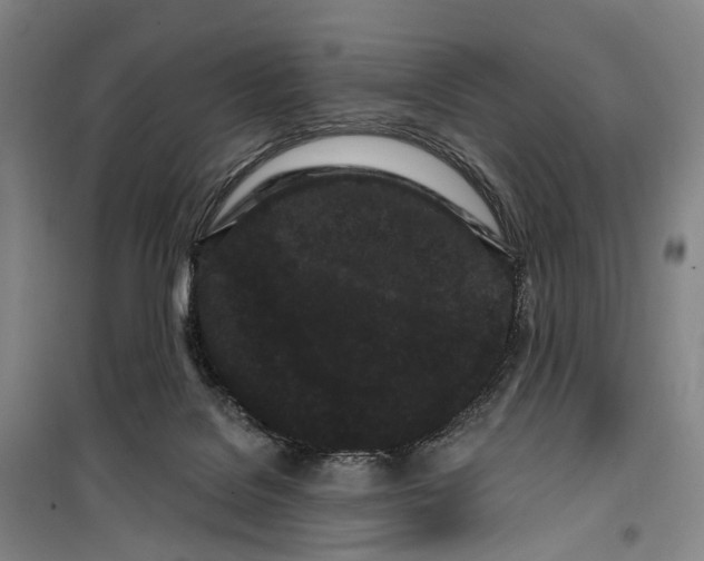 X0000099560076200806061549