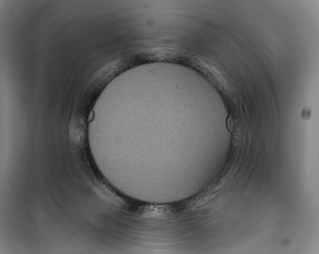 X0000099560077200806061549