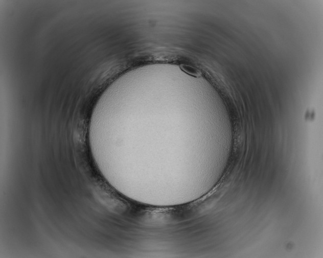 X0000099560078200806061549