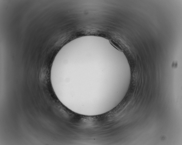 X0000099560079200806061549