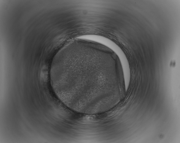 X0000099560080200806061549