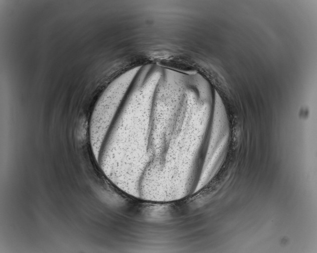 X0000099560081200806061549