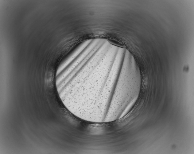 X0000099560082200806061549