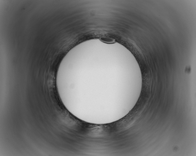 X0000099560083200806061549