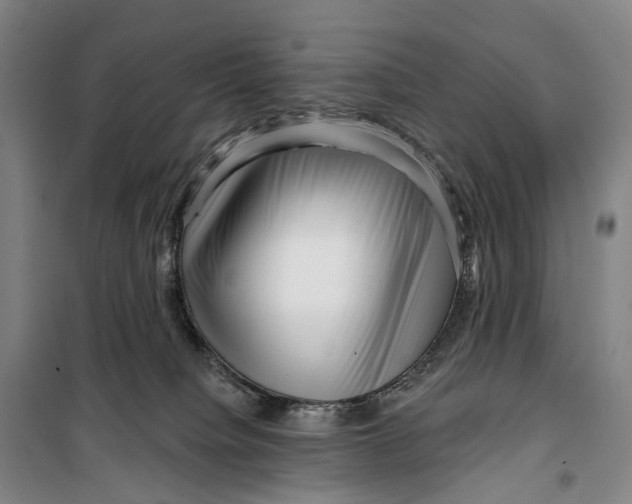 X0000099560084200806061549