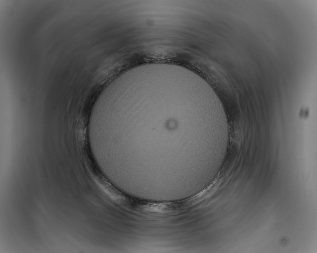 X0000099560086200806061549