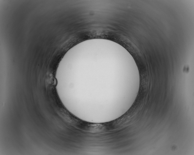 X0000099560087200806061549