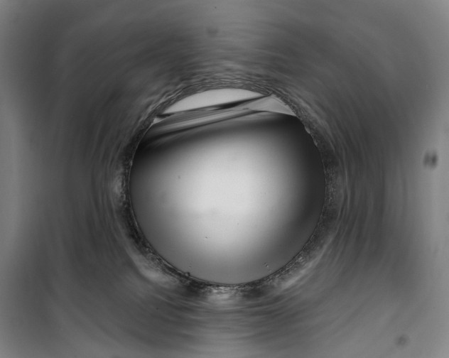 X0000099560088200806061549