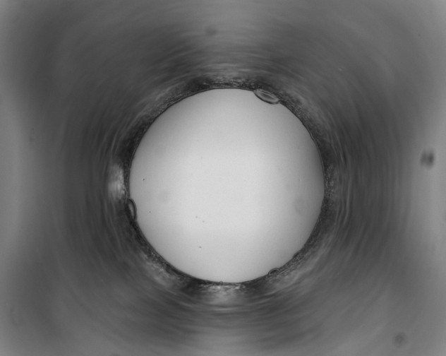 X0000099560089200806061549