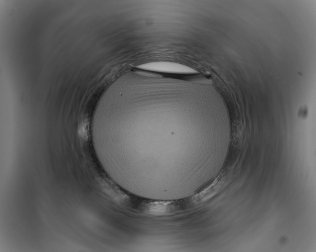 X0000099560090200806061549