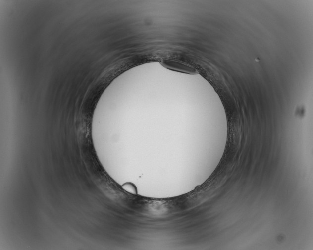 X0000099560091200806061549