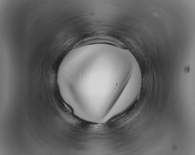 X0000099560092200806061549