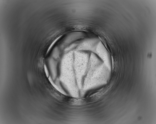 X0000099560093200806061549