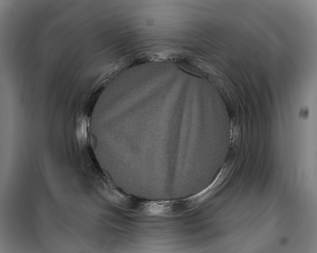 X0000099560094200806061549