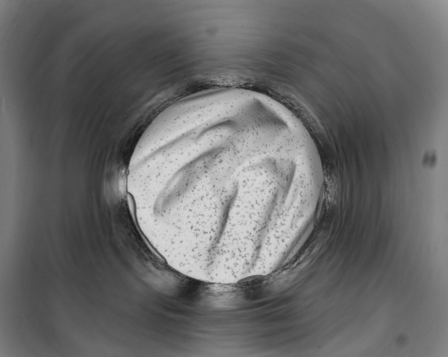 X0000099560095200806061549