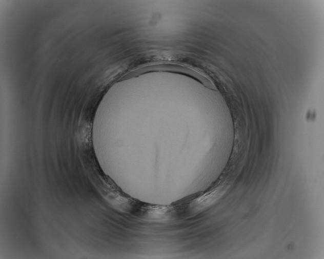 X0000099560096200806061549