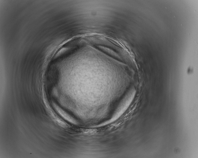 X0000099560097200806061549