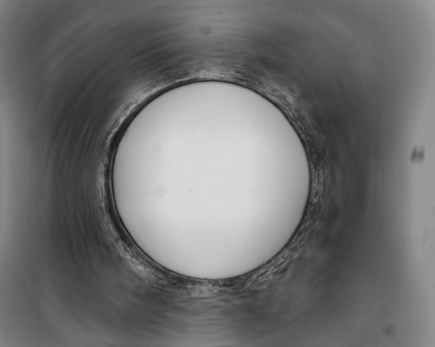 X0000099560098200806061549