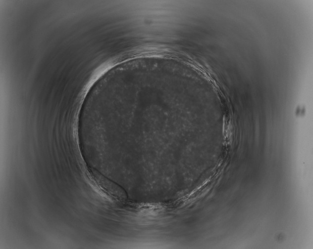 X0000099560099200806061549