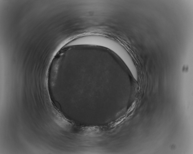 X0000099560100200806061549