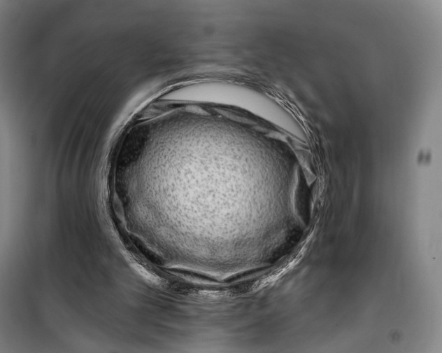 X0000099560101200806061549