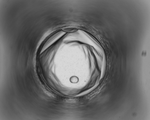 X0000099560102200806061549