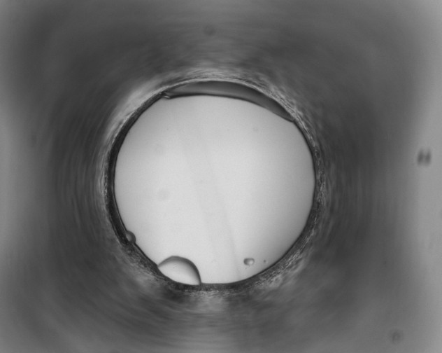 X0000099560103200806061549