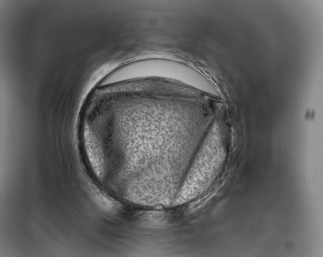 X0000099560104200806061548