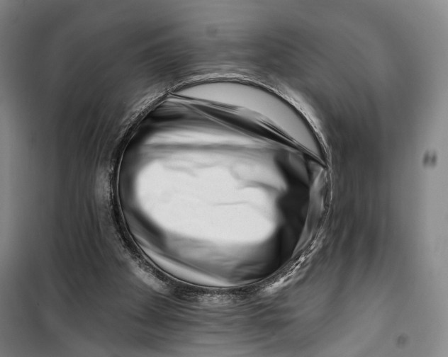 X0000099560105200806061548