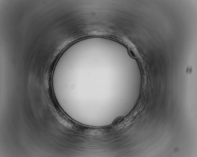 X0000099560106200806061548