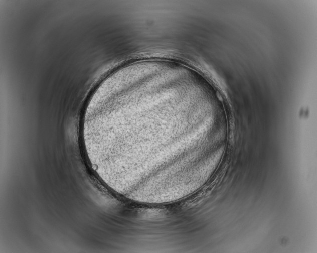 X0000099560107200806061548