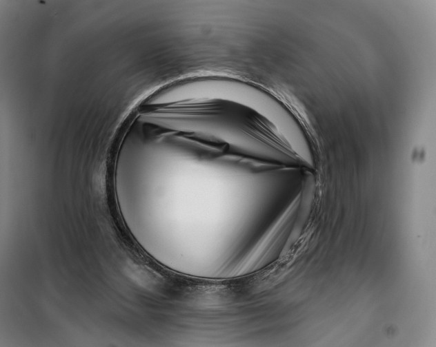 X0000099560108200806061548