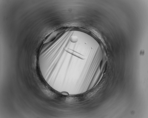 X0000099560109200806061548