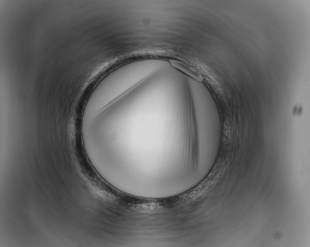 X0000099560112200806061548