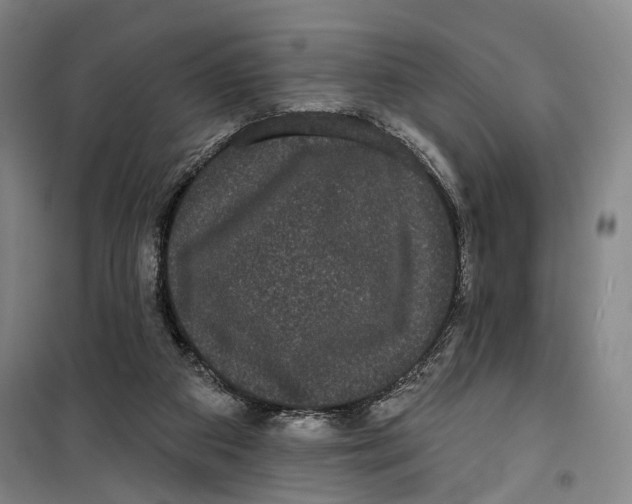 X0000099560113200806061548