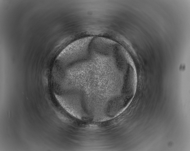 X0000099560114200806061548