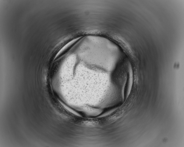 X0000099560115200806061548