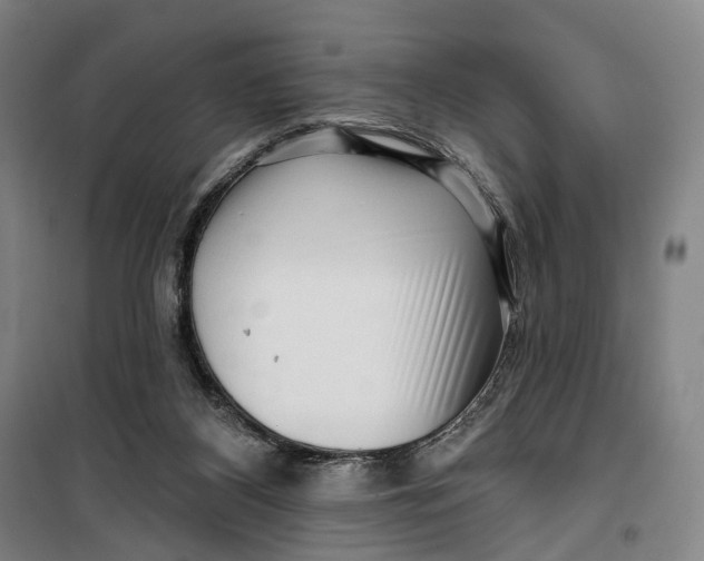 X0000099560116200806061548