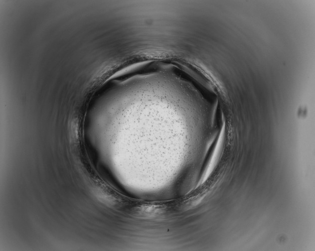 X0000099560117200806061548