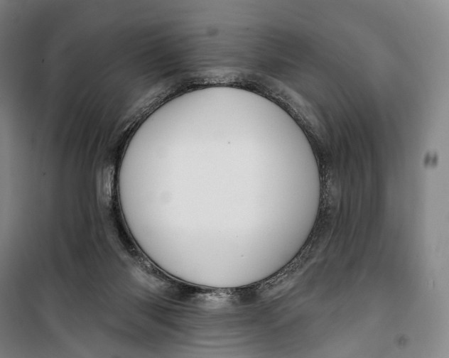 X0000099560118200806061548