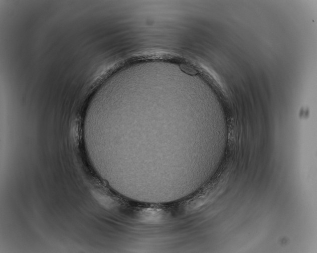 X0000099560119200806061548