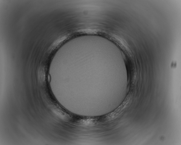 X0000099560120200806061548